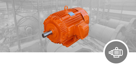 Low Voltage Motors